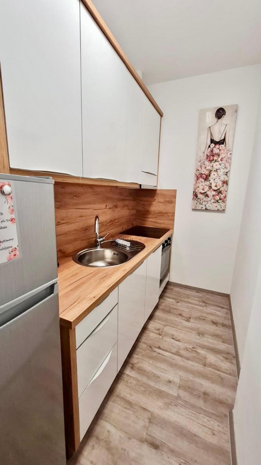 Ljubljana Central Lux Apartment With Free Parking Dış mekan fotoğraf
